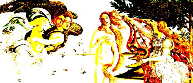 Die Venus erwacht