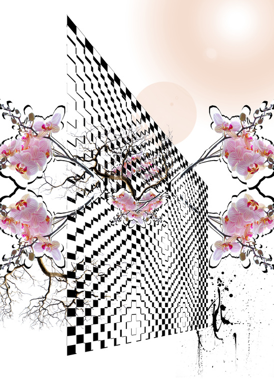 Blumen auf schwarze, weiß Hintergrund