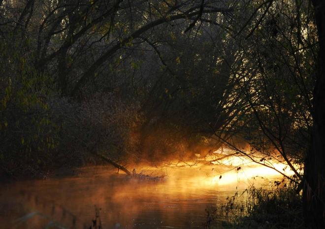 Fluss mit Sonne