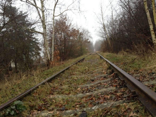Schienen im Wald