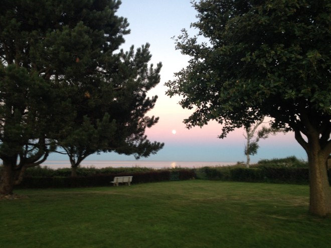 Zwei Bäume und der Himmel